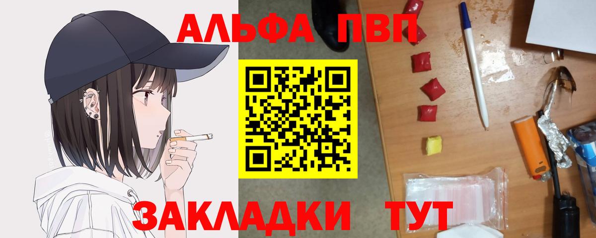 Альфа ПВП СК Чайковский