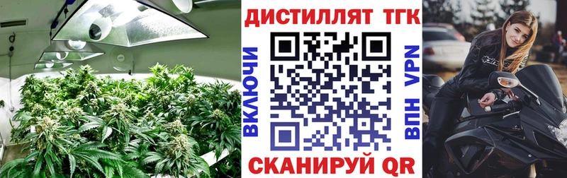 цены наркотик  Чайковский  ТГК гашишное масло 