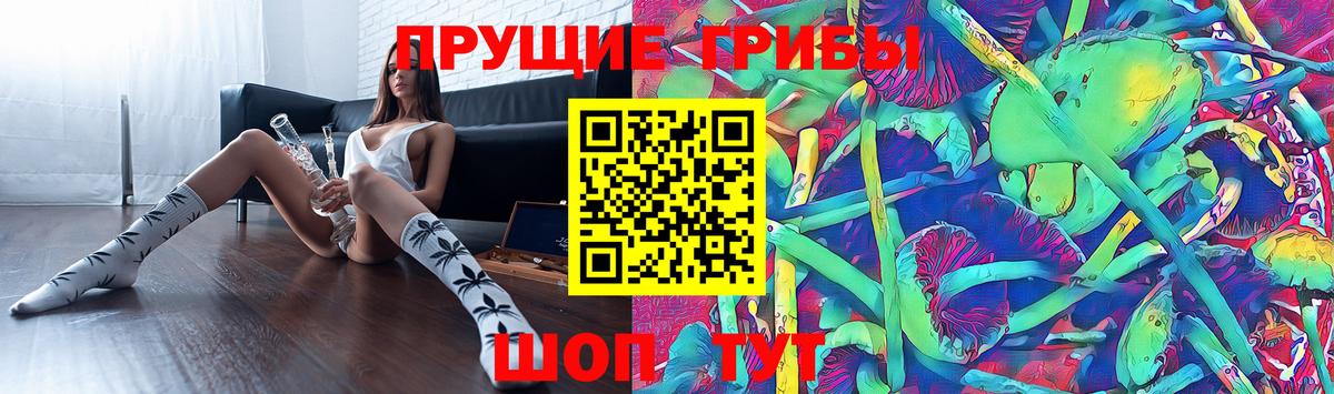 Псилоцибиновые грибы мицелий Чайковский