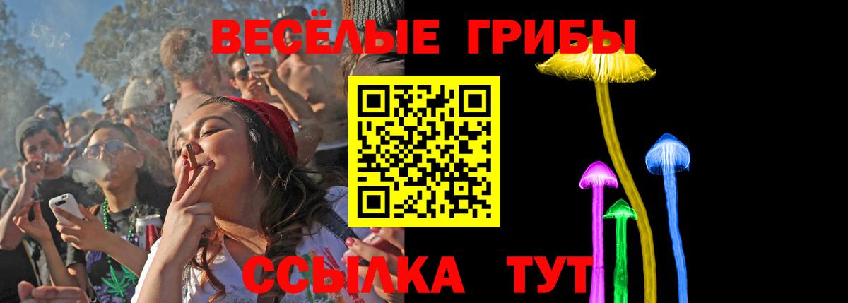 купить   Вход с VPN  Чайковский  Псилоцибиновые грибы MAGIC MUSHROOMS 